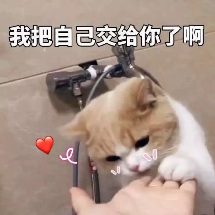 4张"羞红脸"的表情包,你敢发给女票发哪张?全敢发我叫你大哥