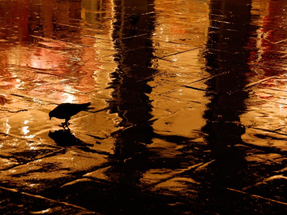 雨景出大片!原来下雨天是摄影的绝佳时刻,这些提示教你怎么拍