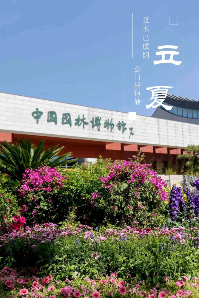绿树阴浓夏日长 楼台倒影入池塘