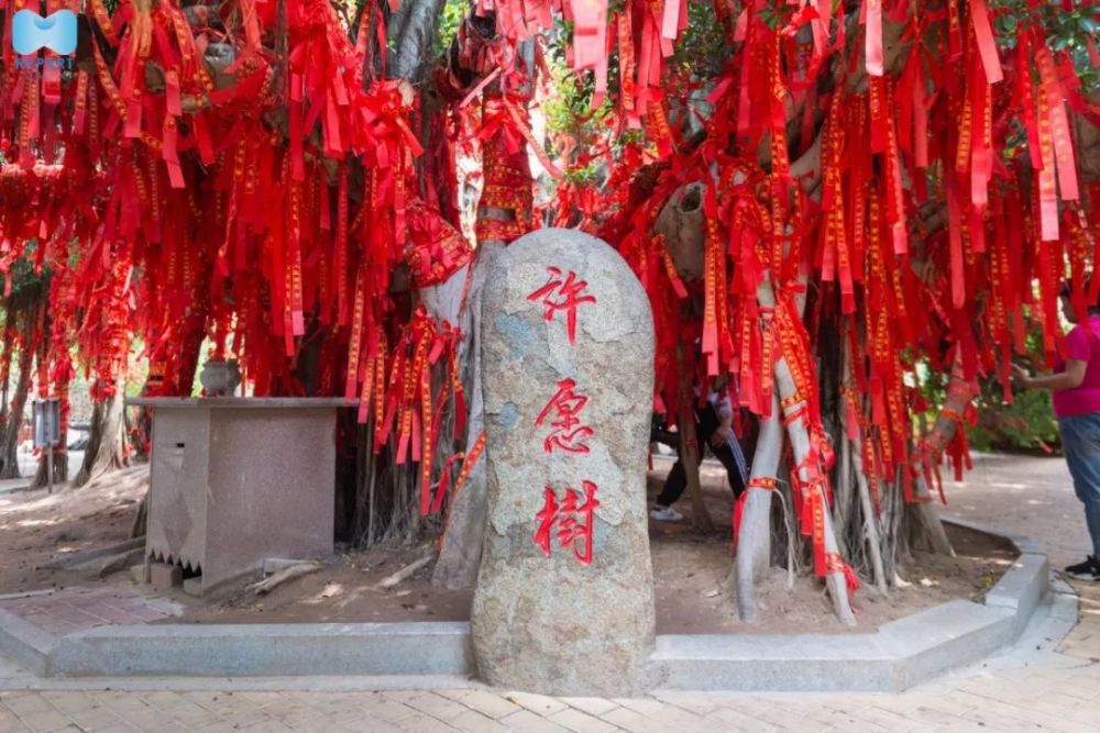 厦门地铁三号线开通后 你将看到这样的场景 安排大嶝岛一日游 三