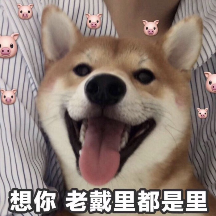 超甜"撩汉"表情包了解下,为自己甜甜的爱情干杯