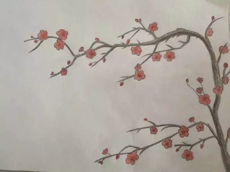 安徽总社《彩铅画三幅》作者:宏之韵