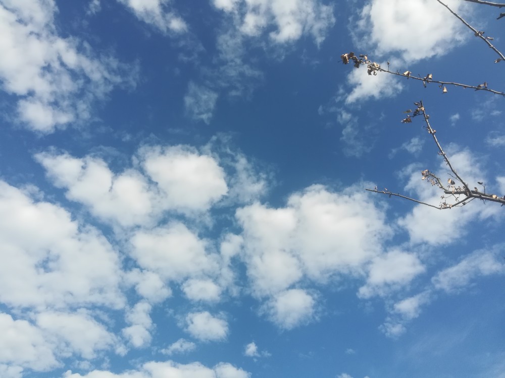 雨后的天空是不是特别的蓝