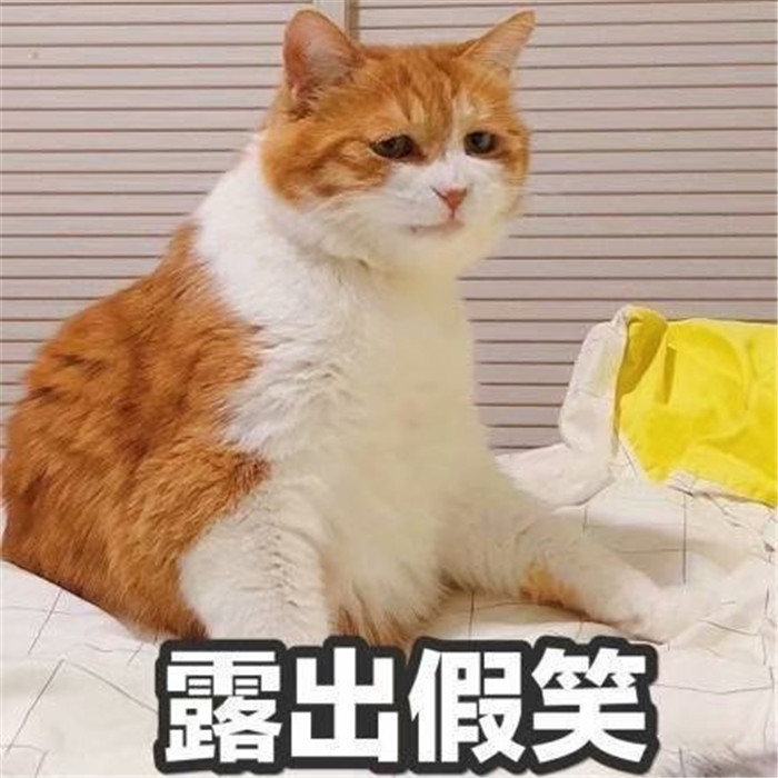 搞笑萌宠斗图表情包:爱笑的狗子,运气不会太差
