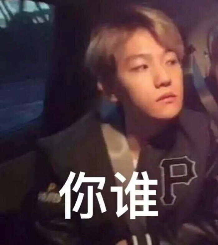 边伯贤搞笑表情包:给彼此一个信任,我爱的灿白啊!
