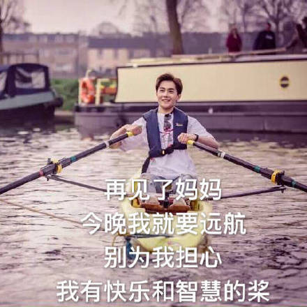 杨洋搞笑表情包:再见了妈妈今晚我就要远航,拜拜