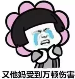 延安人口头禅_贾冰口头禅漂亮表情包(2)
