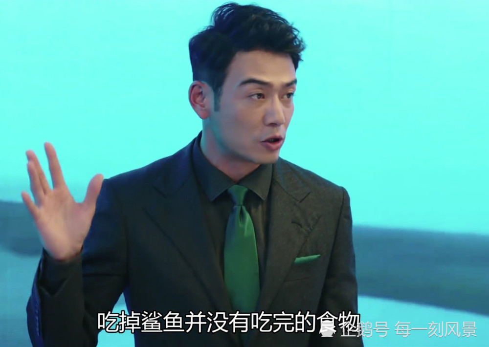 我们都要好好的:杨烁商业奇才,刘涛全职太太登场,金晨
