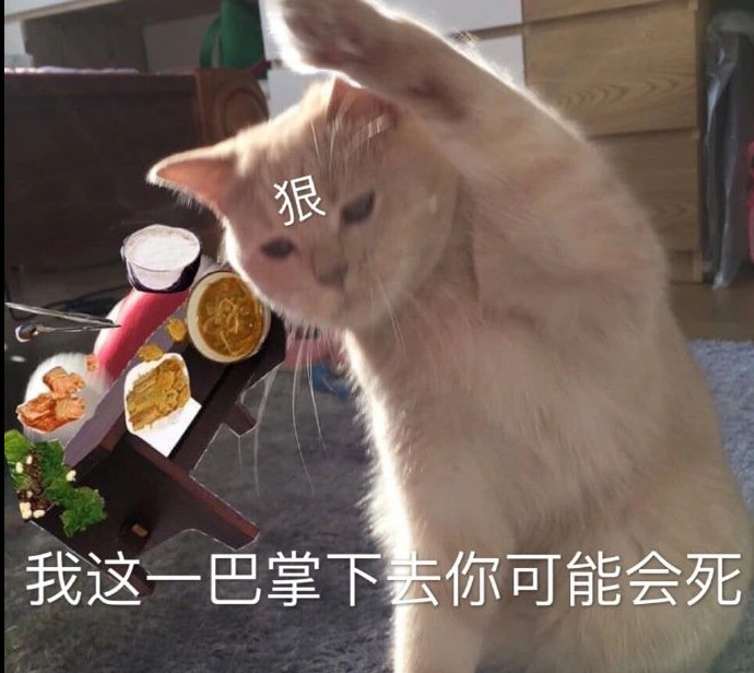 猫咪·表情包:你不对劲 小老弟