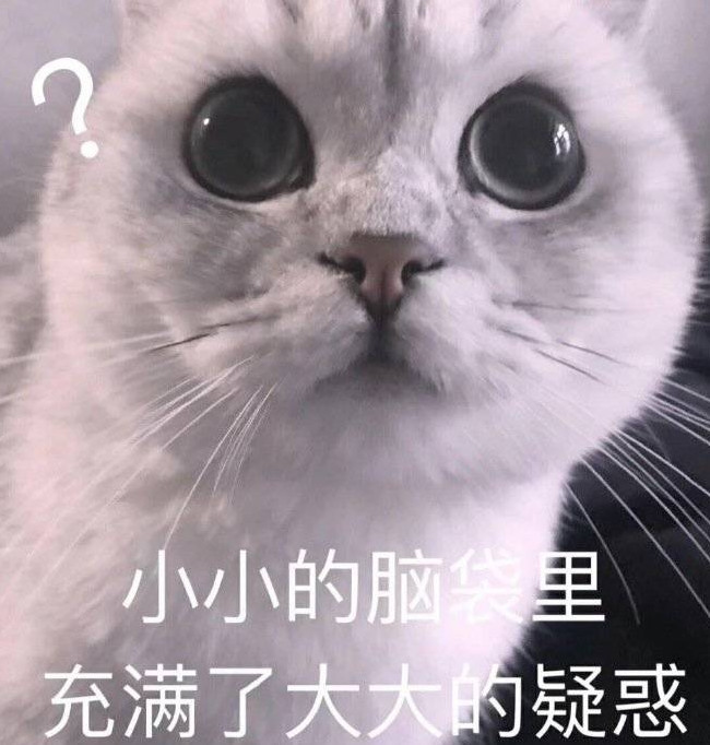 猫咪·表情包:你不对劲 小老弟