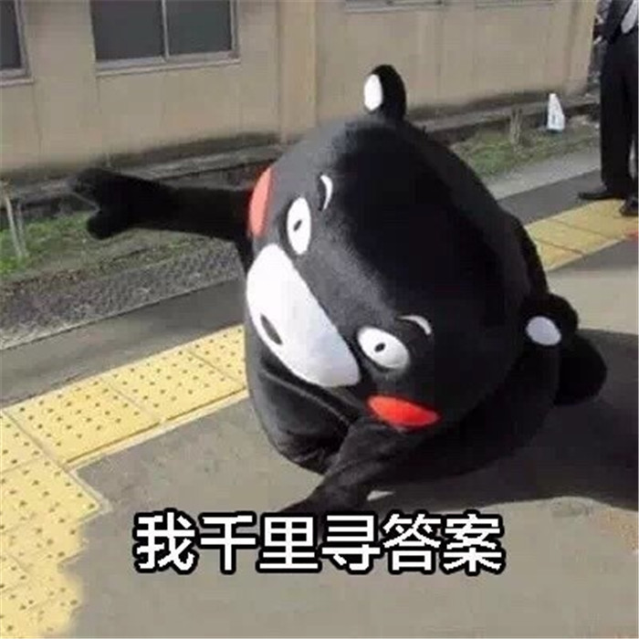 可爱熊本熊斗图表情包:你们都不用上班吗?