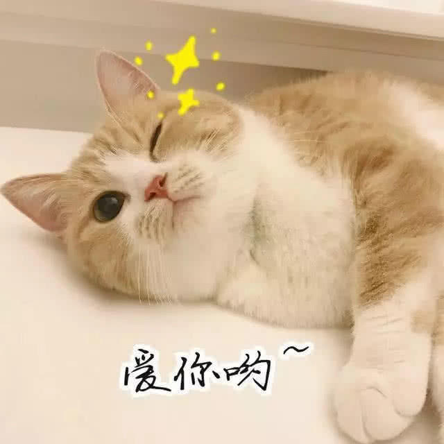 最近"羞红脸"表情包火了:图一萌到爆,拿去调戏大猪蹄子呗!