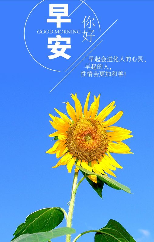 5月10早上好正能量很火的一段话