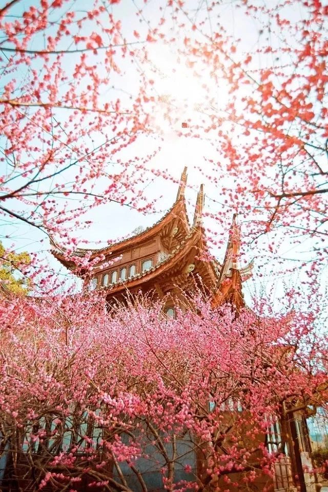 图片 6