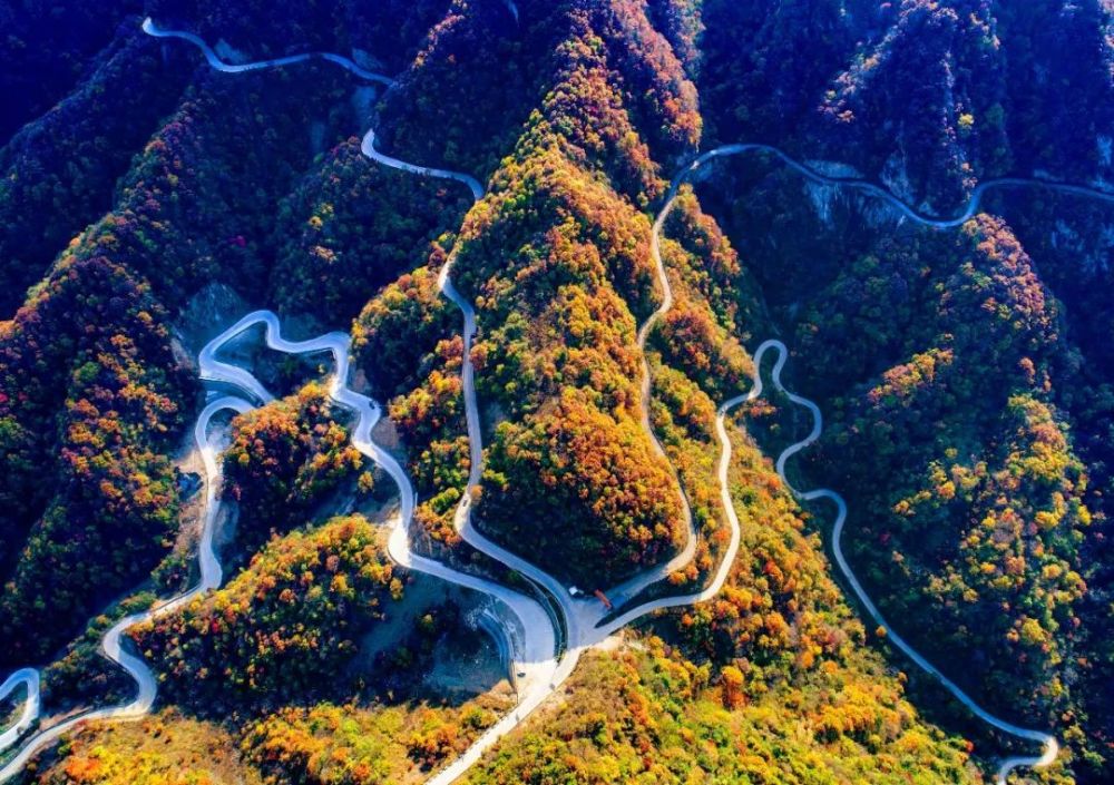 洛栾高速
