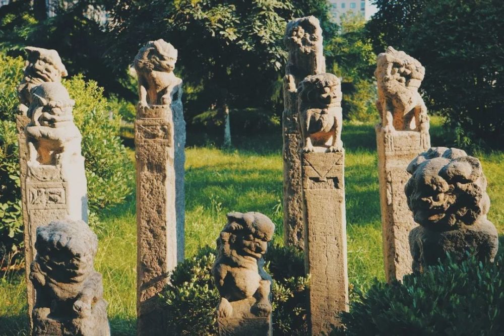 博物馆,雁塔区,长安大学,西安美院