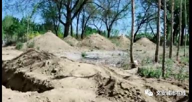 文安县有多少人口_文安洼旅游详细介绍 人文地理美食特产介绍