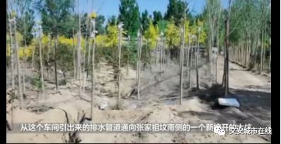 文安县有多少人口_文安洼旅游详细介绍 人文地理美食特产介绍