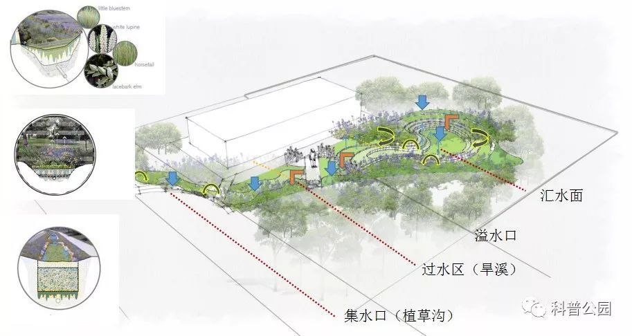 生态可持续的雨洪控制与雨水利用设施——雨水花园