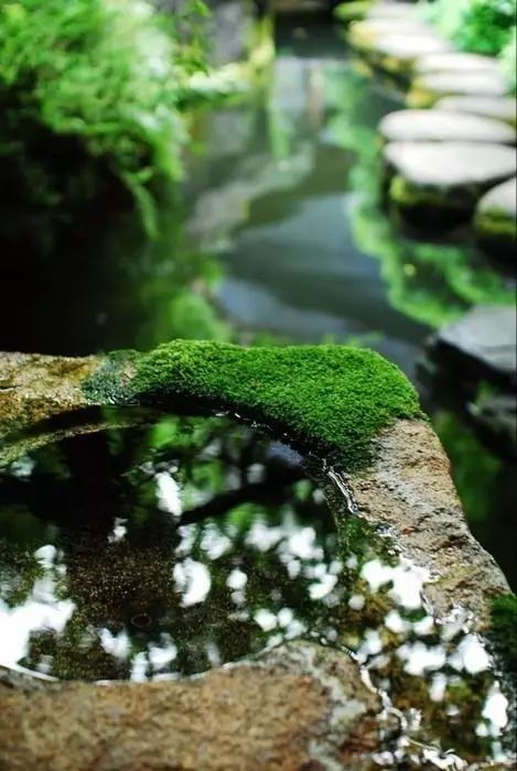 雨径起新绿,池塘吹涟漪