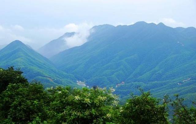 景点一,石龙山国家森林公园