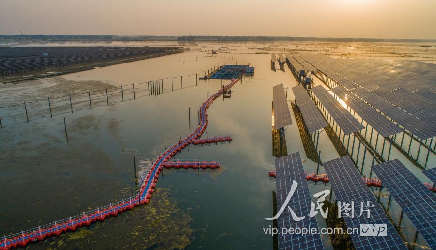 江苏泗洪:初夏天岗湖 景色如画卷