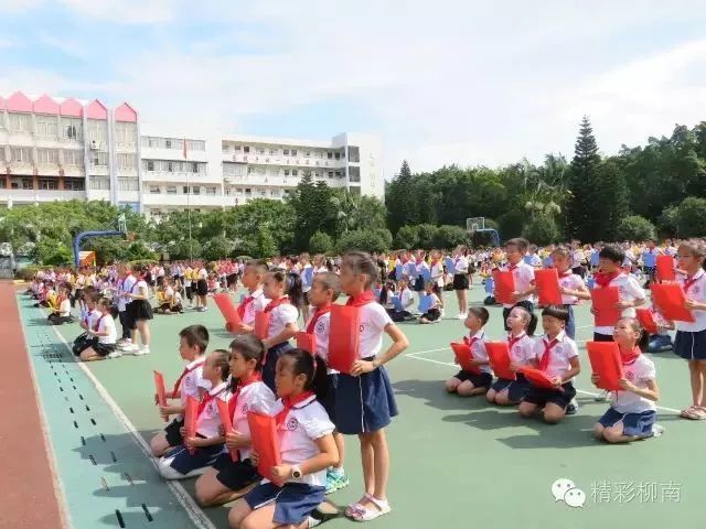 柳州,中小学,小学,柳南区,石路,文明办,第十五中学,实验小学,教育局