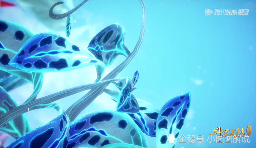 斗罗大陆:唐三复活母亲阿银,看到蓝银皇"日长一尺",唐昊热泪盈眶!
