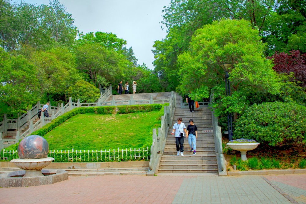 紫荆山公园并不是山,以前没有山,建造初叫东方红