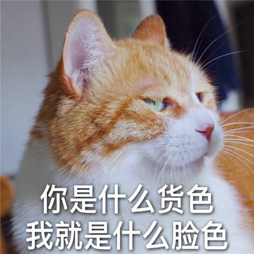 你是什么货色,我就什么脸色"无水印"爆笑萌宠表情包