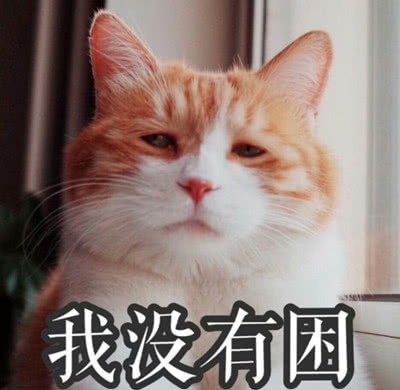 可爱猫咪表情包:睁开你那卡姿兰的大眼睛说爱我