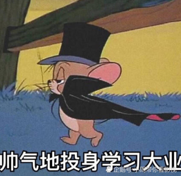 汤姆,动画片,猫咪,小学生,表情包