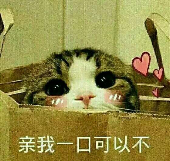 对象突然不理你了?用这组表情包往死里怼他:剁了你这头猪!