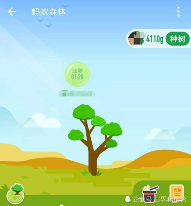 马云的蚂蚁森林怎么样了?看到它的现状后,网友:功亏一
