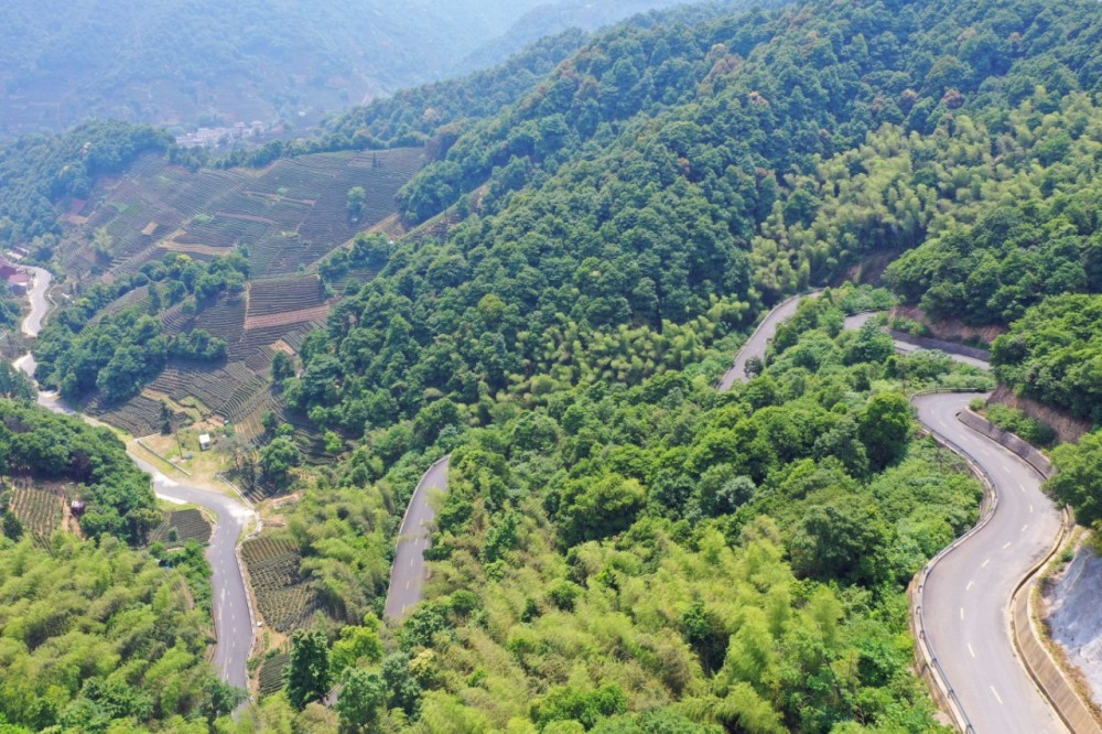 杭州有座寺庙与灵隐,法华并称"杭州城郊三大寺",就在小和山上