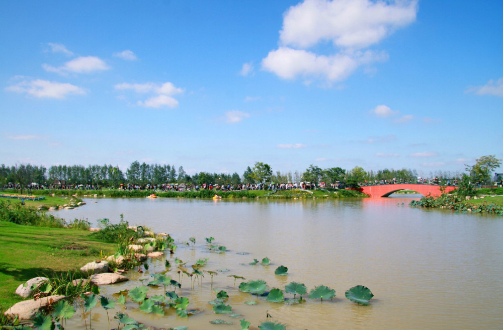 江苏,盐城,地理位置,面积,旅游