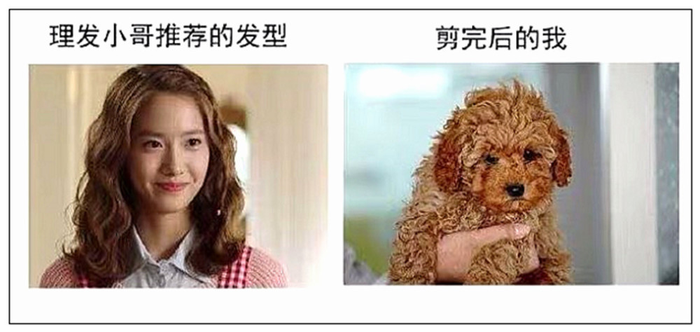 发型师推荐的发型vs剪完后,内容过于真实,网友:打死也