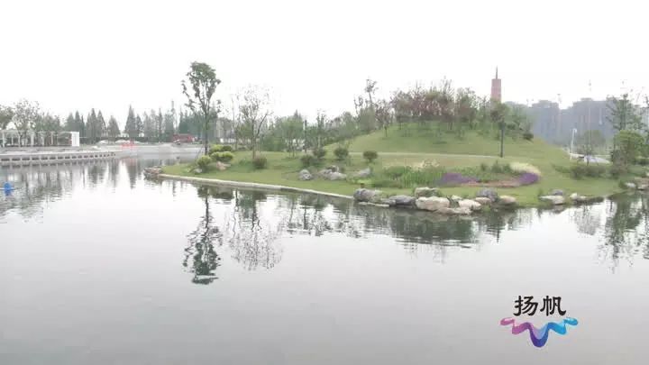 七里河公园人工湖的北段经过生态修复之后,河水清澈见底,水底还种满了
