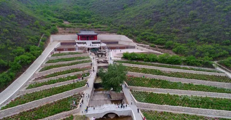 建平天秀山森林公园牡丹花开