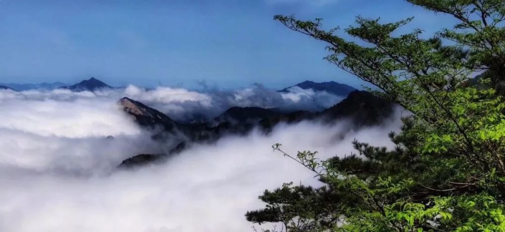 湖北的这个景区,云海美景,隐隐于野