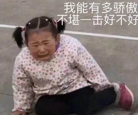 搞笑的表情包:我能有多骄傲