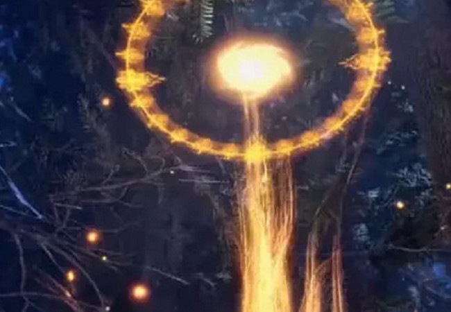 斗罗大陆:唯一一个百万年赤金魂环,看到魂兽样貌后,小舞傻眼了