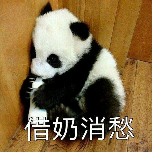 "卡哇伊"熊猫表情包呆萌来袭,准备好迎接黑白团子的愤怒了吗!