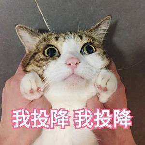表情包!小可爱:你再惹我,我就,我就生气!小可怜:我投降!