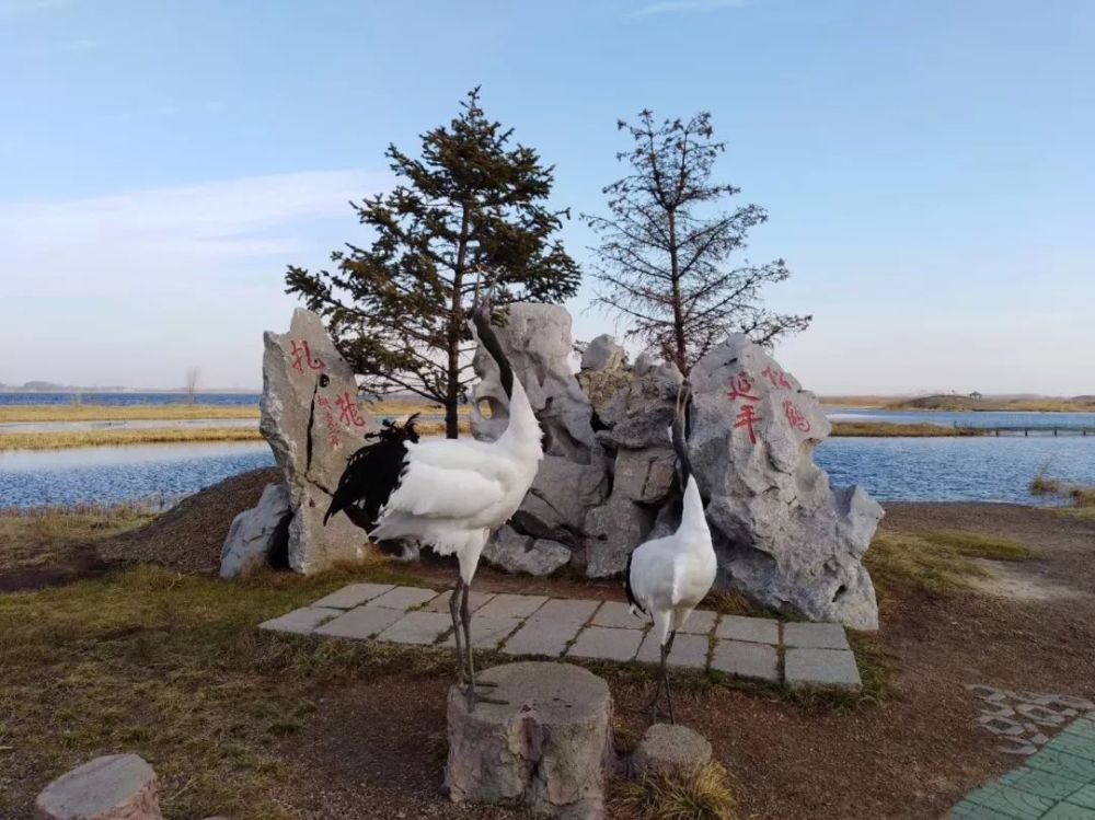 周末迎中国旅游日,齐齐哈尔扎龙景区门票优惠政策是