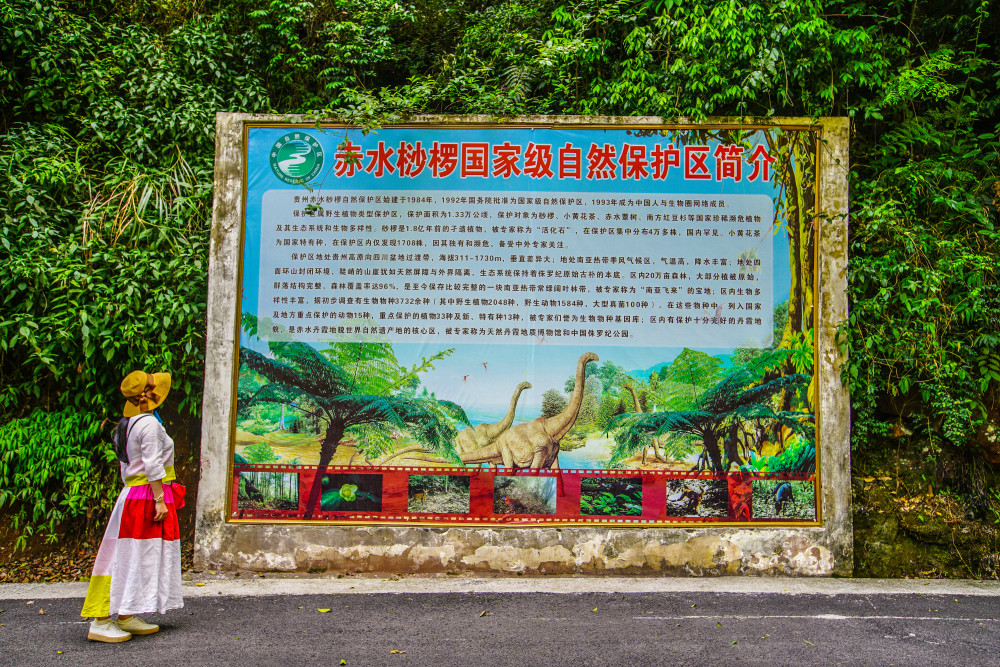 图片 5