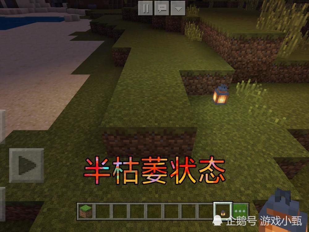 我的世界:草方块有4个不同的形态,菌丝罕见,但开创造找不到它