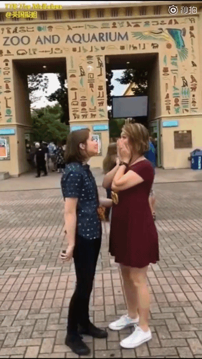 400_710竖版 竖屏gif 动态图 动图