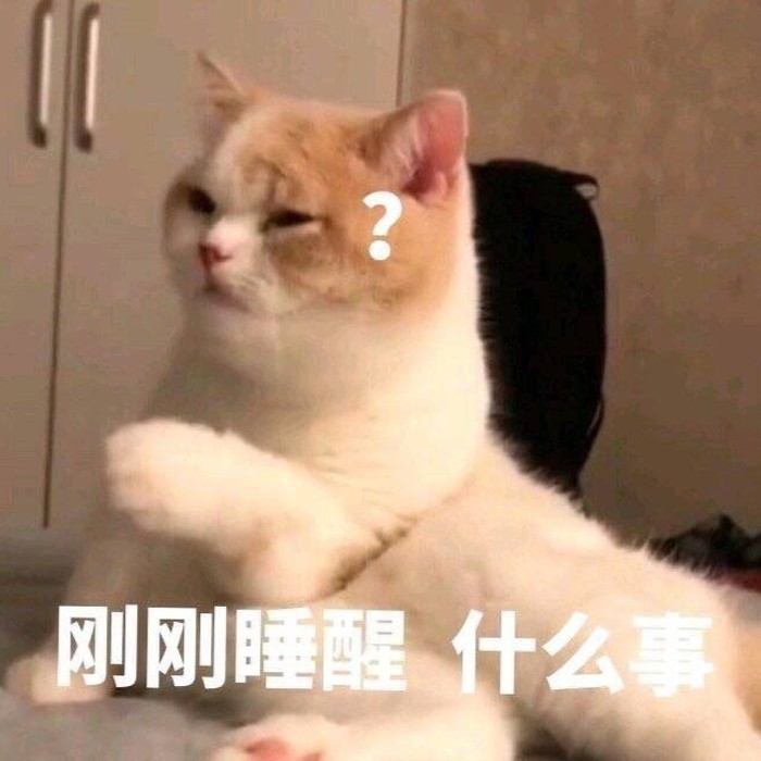 小奶猫:刚刚睡醒,什么事?橘猫扑来:老子不是肥橘,是噬元兽!