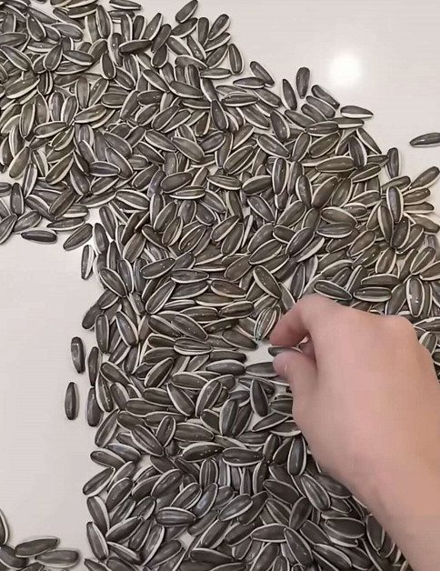 美术生有多强悍?用3万个"瓜子"作画,网友:老夫的初恋呀!